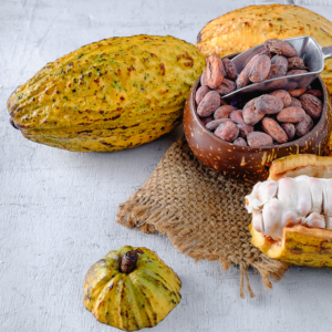 Cacao