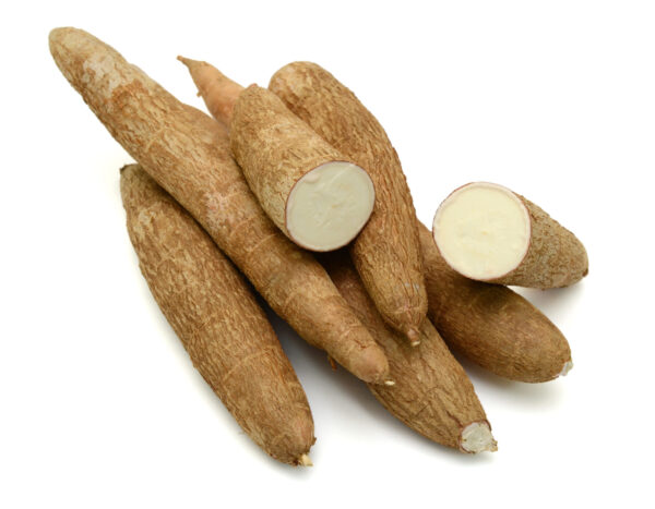 Manioc – Image 4